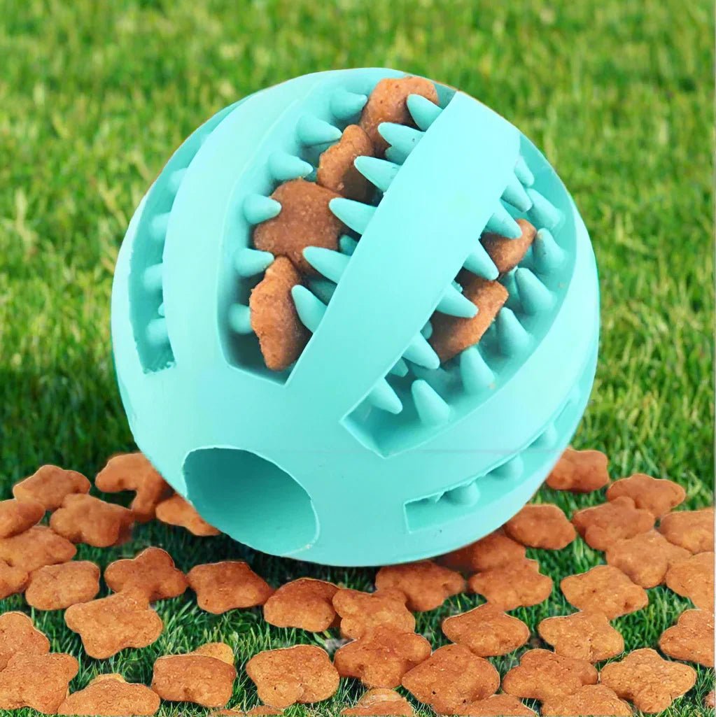 Balle Chien - DogToyBall™ - Cyan - Shoping chien