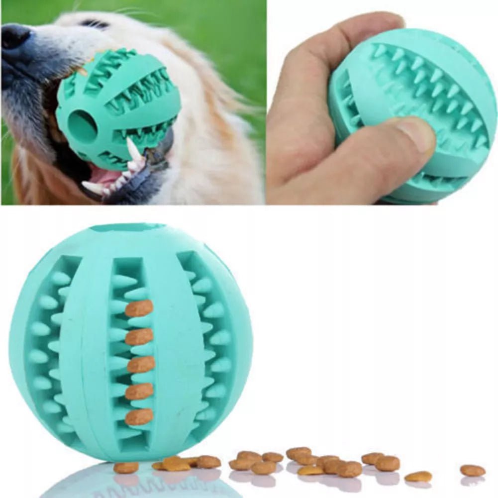 Balle Chien - DogToyBall™ - Cyan - Shoping chien