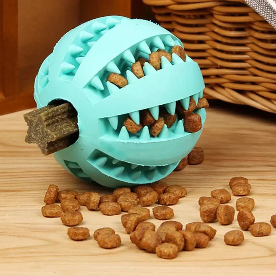 Balle Chien - DogToyBall™ - Cyan - Shoping chien