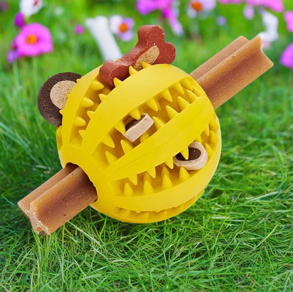 Balle Chien - DogToyBall™ - Jaune - Shoping chien