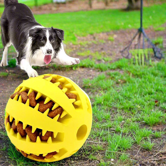 Balle Chien - DogToyBall™ - Jaune - Shoping chien