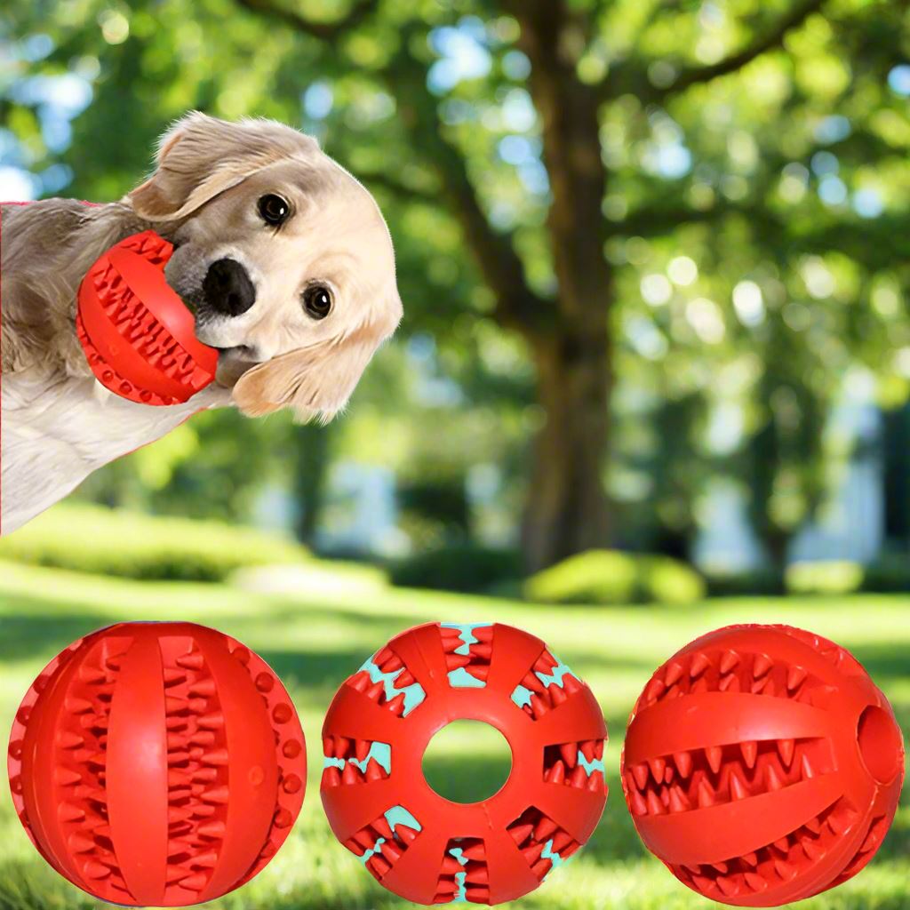 Balle Chien - DogToyBall™ - Rouge - Shoping chien