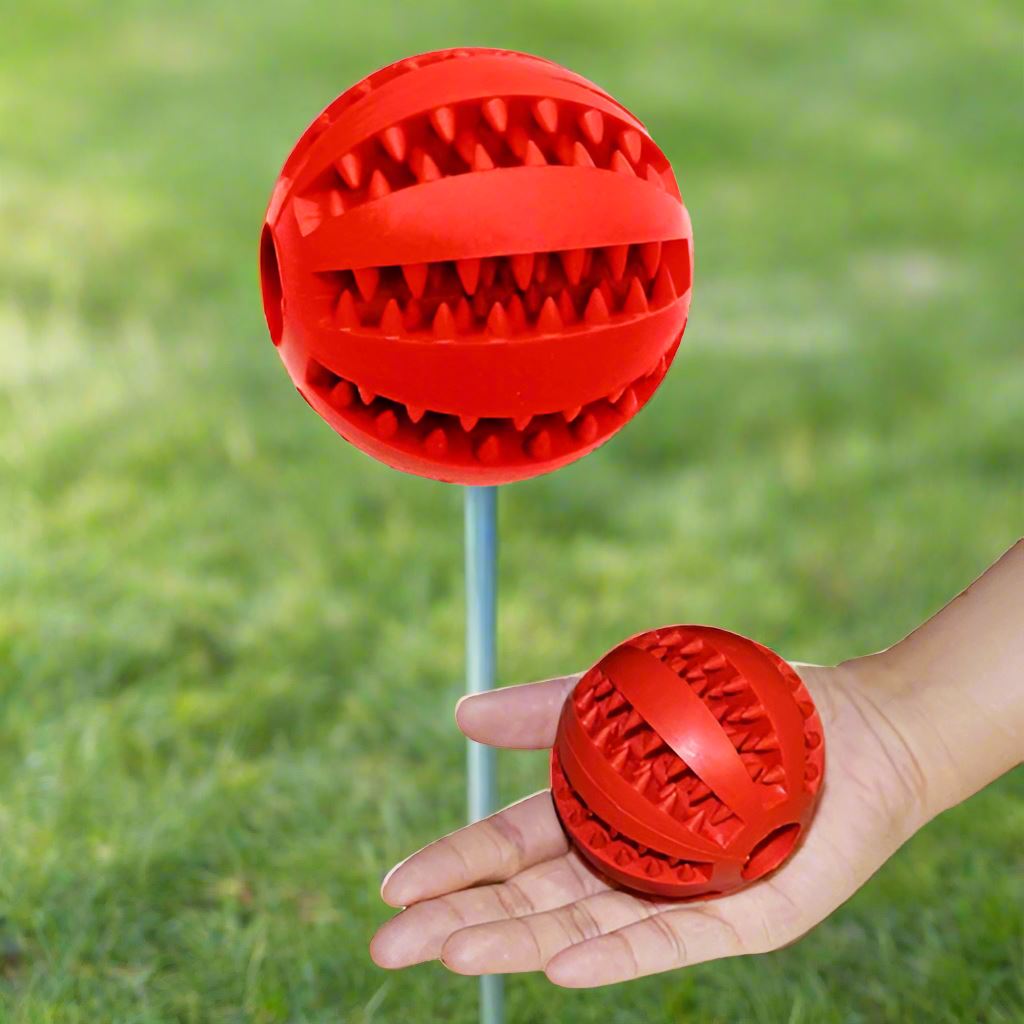 Balle Chien - DogToyBall™ - Rouge - Shoping chien