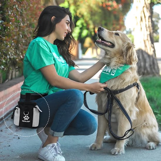 Doggy Bag - Shoping chien