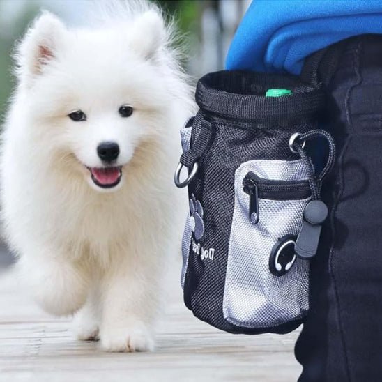 Doggy Bag - Shoping chien