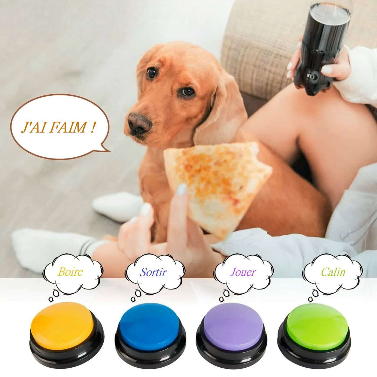 Jouet Interactif Chien - ChienParlant™ - Ensemble Multicolore - Shoping chien