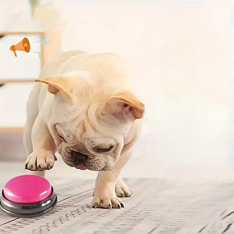 Jouet Interactif Chien - ChienParlant™ - Magenta - Shoping chien