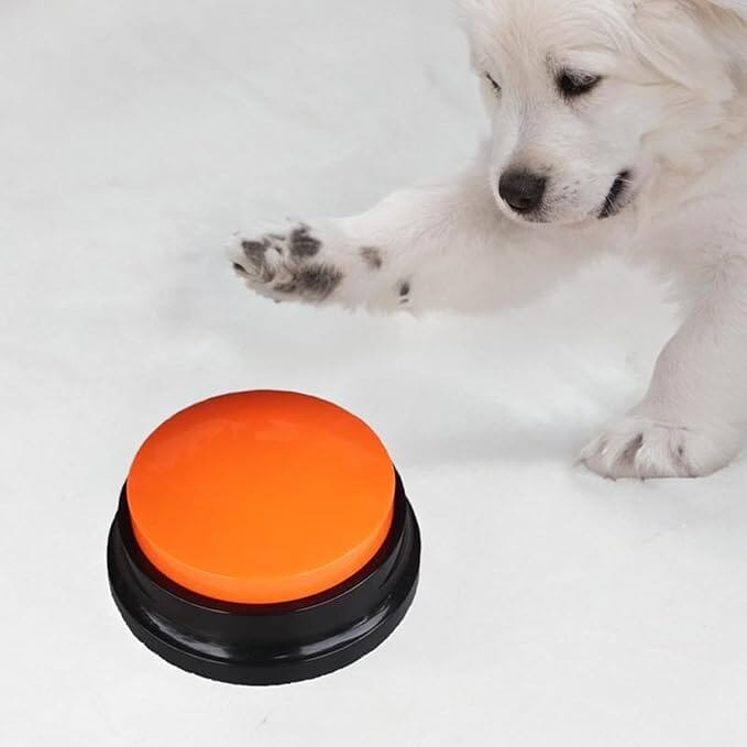 Jouet Interactif Chien - ChienParlant™ - Orange - Shoping chien