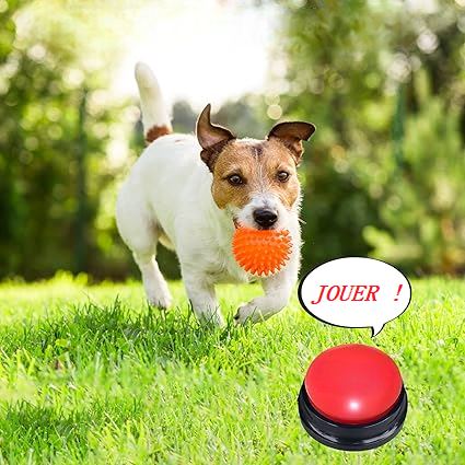 Jouet Interactif Chien - ChienParlant™ - Rouge - Shoping chien